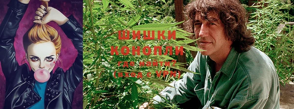 ALPHA PVP Балашиха
