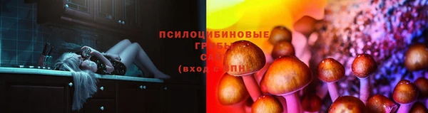 шишки Алексин
