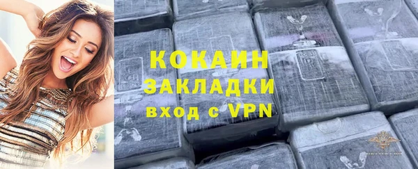 стафф Алзамай