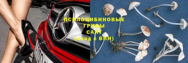 шишки Алексин