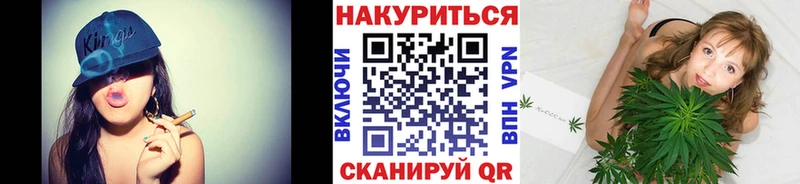 Каннабис OG Kush  Красноярск 